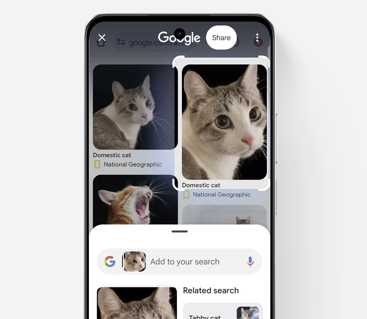 Chức năng Circle to Search trên realme C71