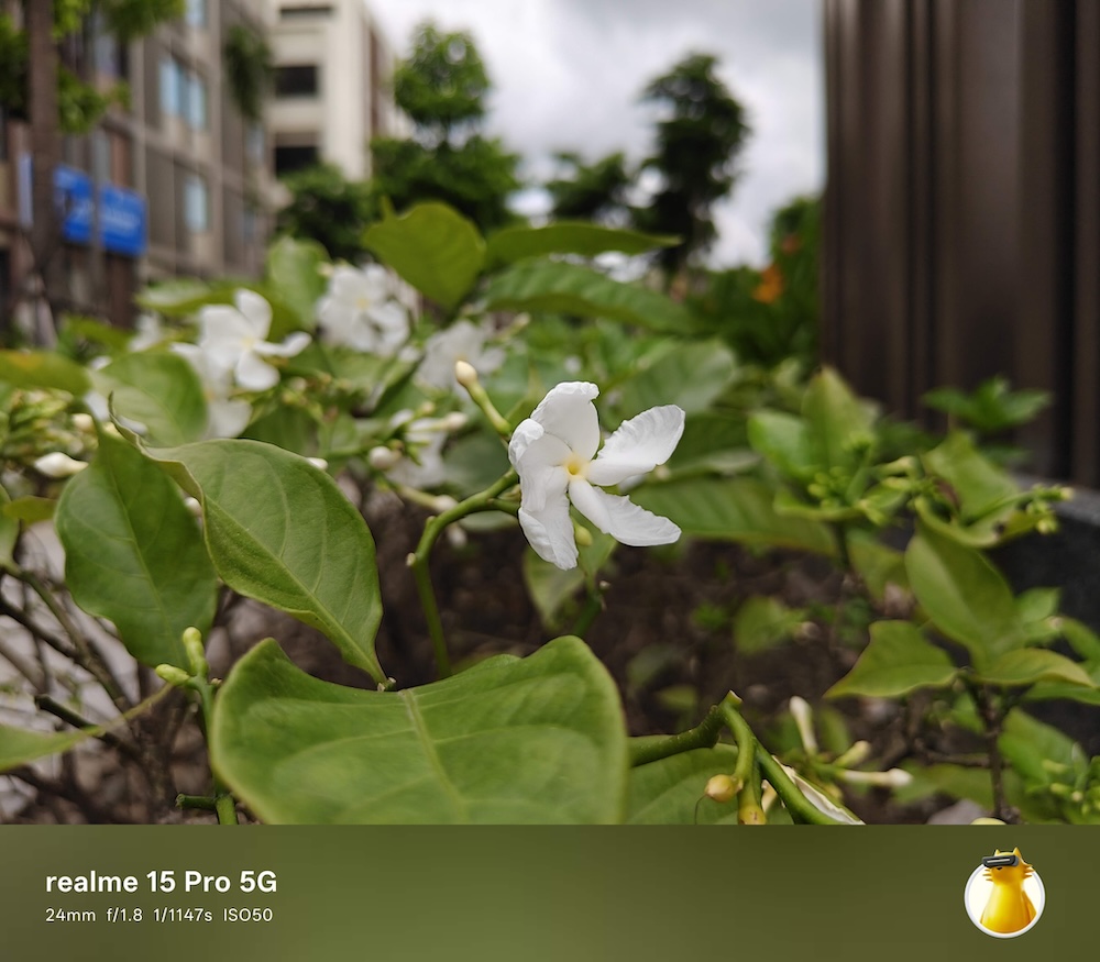 Đánh giá chi tiết Realme 15 Pro 5G: Bước tiến vượt bậc trong phân khúc tầm trung năm 2025 TechTimes Vietnam Một số ảnh chụp thực tế từ camera của realme 15 Pro 5G: