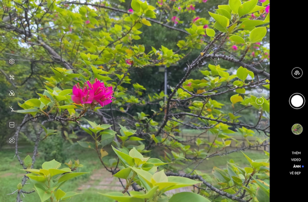 Giao diện chụp ảnh của máy cũng khá đơn giản, với 3 mức zoom (wide, 1x và zoom số 10x).