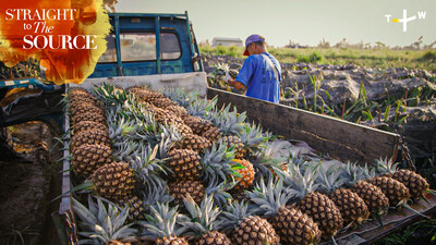 "Straight to the Source" trở lại, tôn vinh di sản ẩm thực phong phú của Đài Loan quotStraight to the Sourcequot tro lai ton vinh di san TechTimes Vietnam "Straight to the Source" trở lại, tôn vinh di sản ẩm thực phong phú của Đài Loan