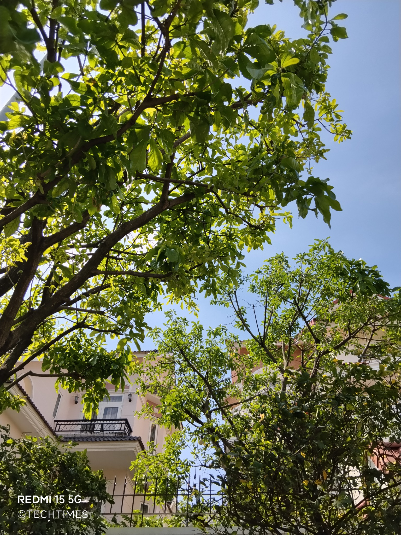 Ảnh ban ngày từ camera chính chi tiết tốt, màu sắc rực rỡ kiểu Xiaomi, dynamic range ổn nhờ HDR tự động. Chân dung xóa phông chính xác, quay video 1080p@30fps ổn định EIS. Tuy nhiên, thiếu ultrawide là điểm trừ lớn, và lens phụ gần như vô dụng.