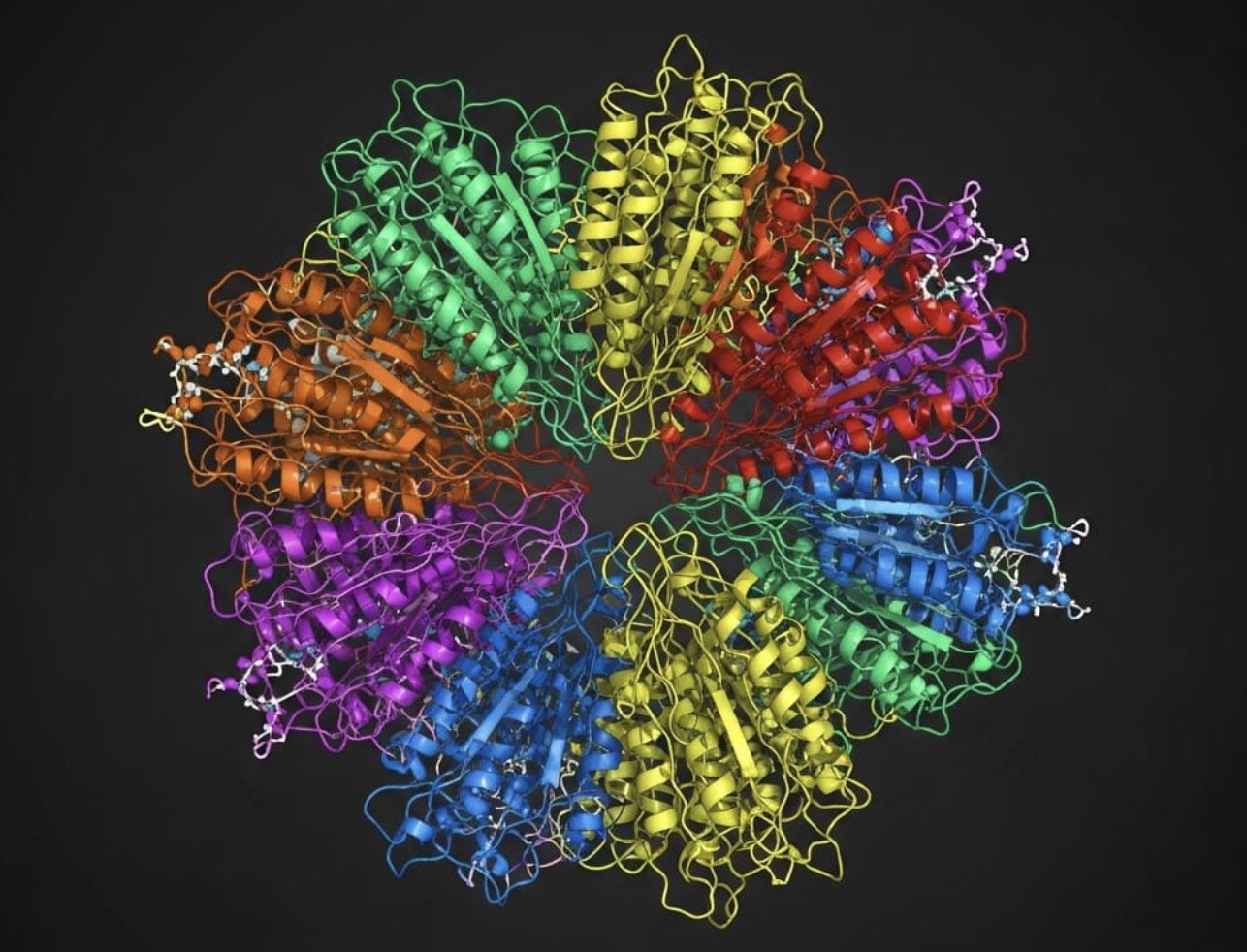 Đột phá trong học máy về protein: Lập bản đồ cấu trúc phức tạp với độ chi tiết chưa từng có