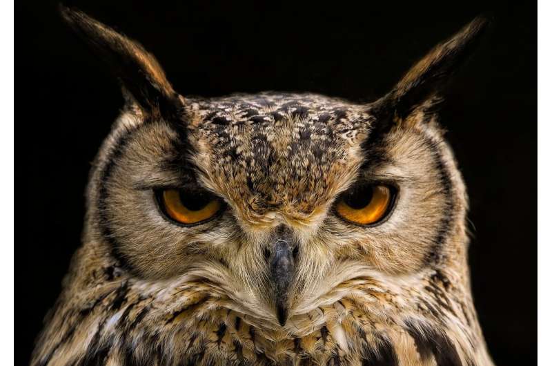 Nghiên cứu mới: AI có thể “truyền” sở thích ẩn sang AI khác, ngay cả khi dữ liệu đã được làm sạch