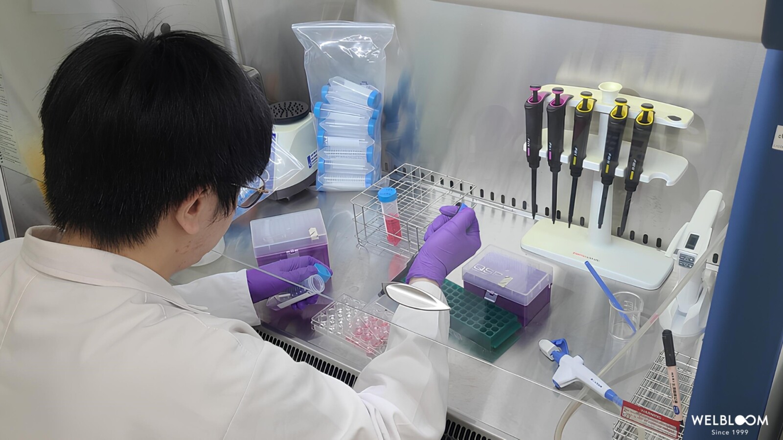 Wel-Bloom Bio-Tech giới thiệu 2 thành phần mới độc quyền trong thực phẩm chức năng được cấp bằng sáng chế TechTimes Vietnam cover image