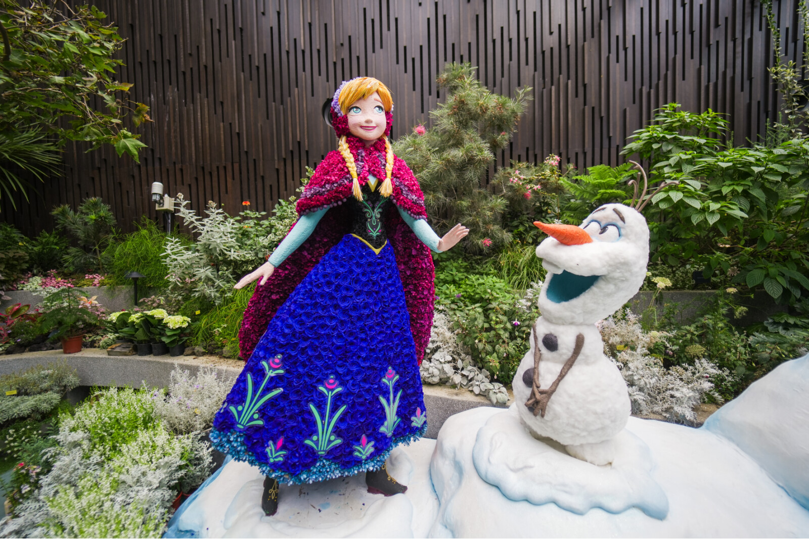 Khu vườn Kỳ diệu Disney lại khoe sắc tại Gardens by the Bay, Singapore với nghệ thuật tạo hình nhân vật bằng cây cảnh hoàn toàn mới TechTimes Vietnam Anna và Olaf trong Frozen (Nữ hoàng Băng giá)